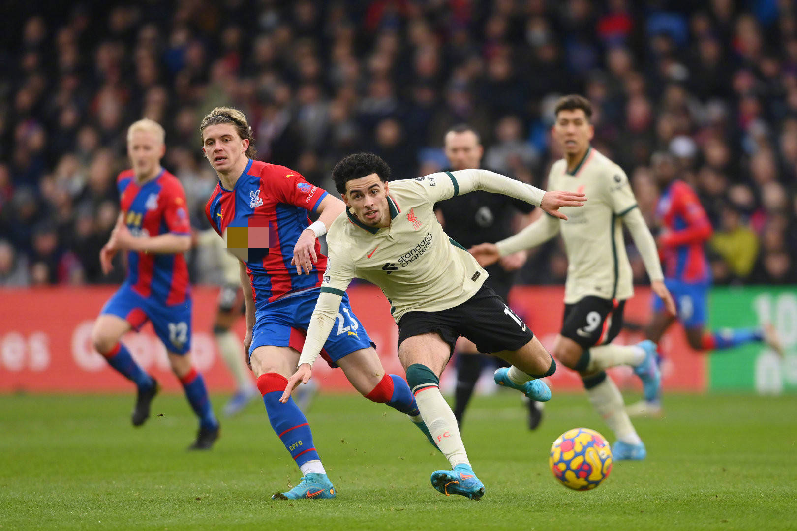 也在比赛组 也在比赛组