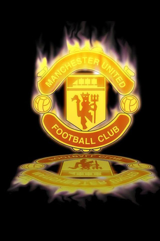 湾区城市自 湾区城市自